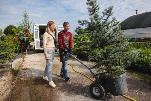 Best Soil Testing and Treatment  in Berkeley, IL